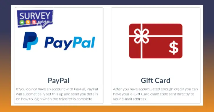 pembayaran Surveypago