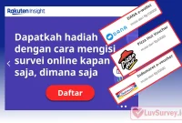 review Rakuten Insight