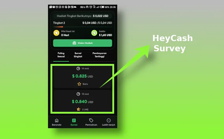 HeyCash survey