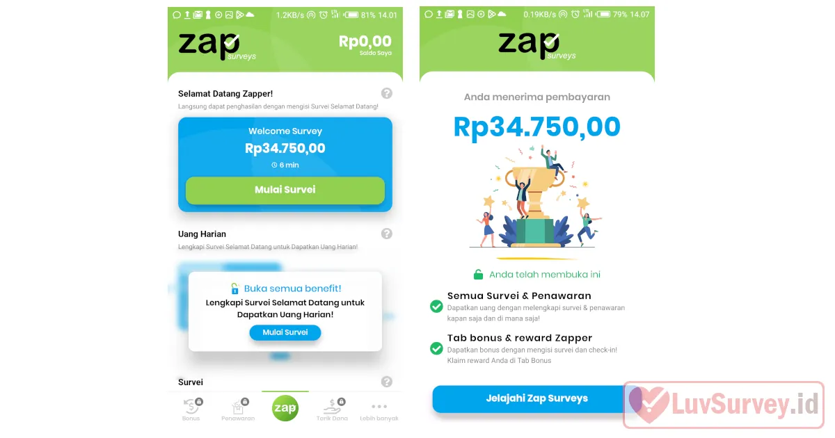 review zap surveys